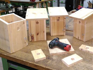 Wir bauen zusammen Häuschen (Nisthilfen) für Bienen und Vögel