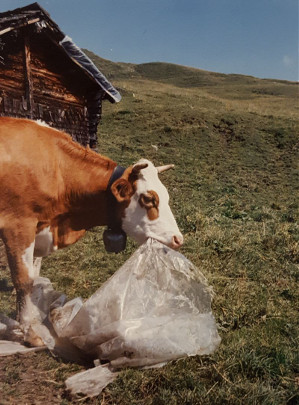 Kuhf Mit Plastik Sp