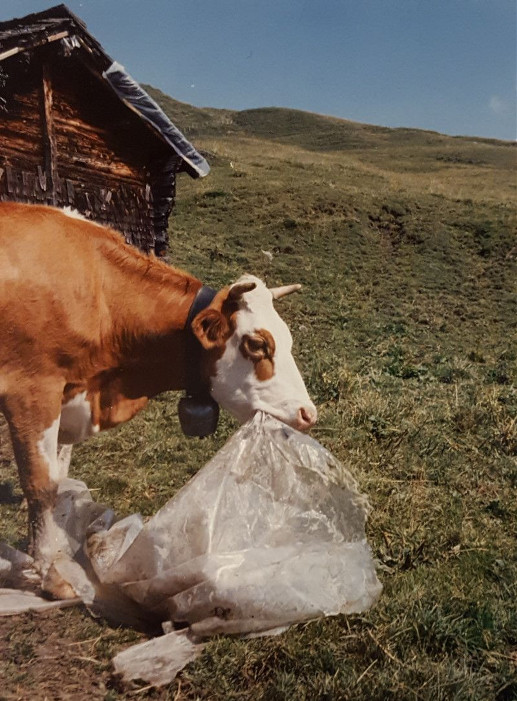 Kuhf Mit Plastik Sp