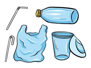 „Die Plastikkrise, die UN und wir vor Ort: Wie globale Politik & lokales Engagement zusammenwirken"