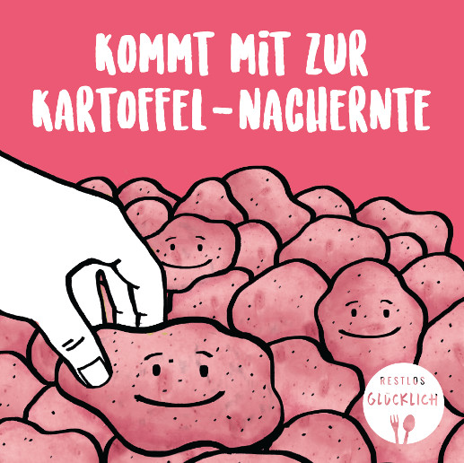 Kartoffeln Nachernte Fb 2