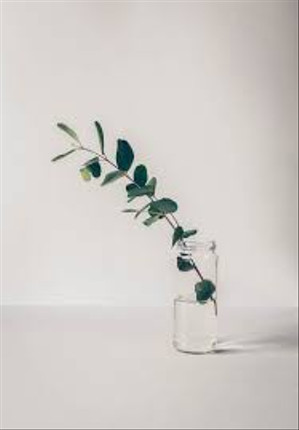 Vortrag (mit Workshopanteil): Minimalismus im Alltag mit Nikolai Wolfert